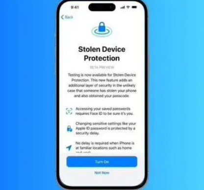 宁蒗苹果授权维修店分享被盗设备保护功能开启方法 