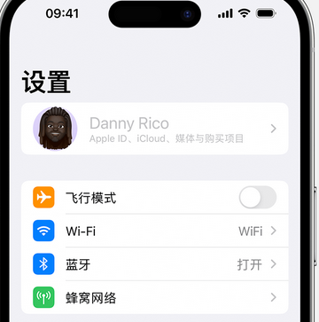 宁蒗appleID维修服务iPhone设置中Apple ID显示为灰色无法使用 