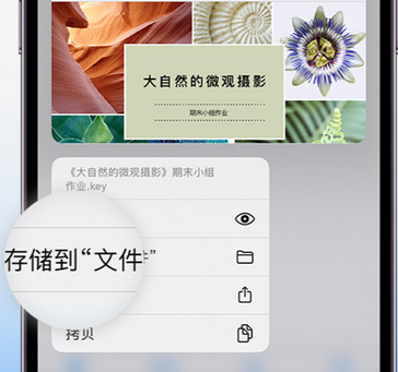 宁蒗apple维修中心分享iPhone文件应用中存储和找到下载文件