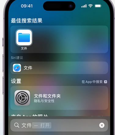 宁蒗apple维修中心分享iPhone文件应用中存储和找到下载文件