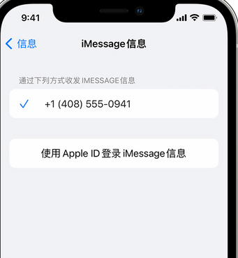 宁蒗apple维修iPhone上无法正常发送iMessage信息