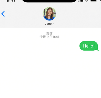 宁蒗apple维修iPhone上无法正常发送iMessage信息