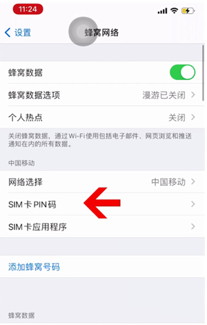 宁蒗苹果14维修网分享如何给iPhone14的SIM卡设置密码 