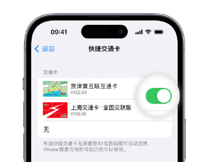 宁蒗apple维修点分享iPhone上更换Apple Pay快捷交通卡手绘卡面 