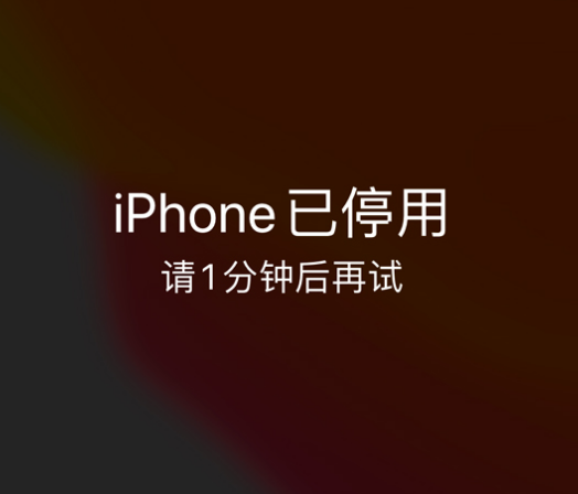 宁蒗苹果手机维修分享:iPhone 显示“不可用”或“已停用”怎么办？还能保留数据吗？ 