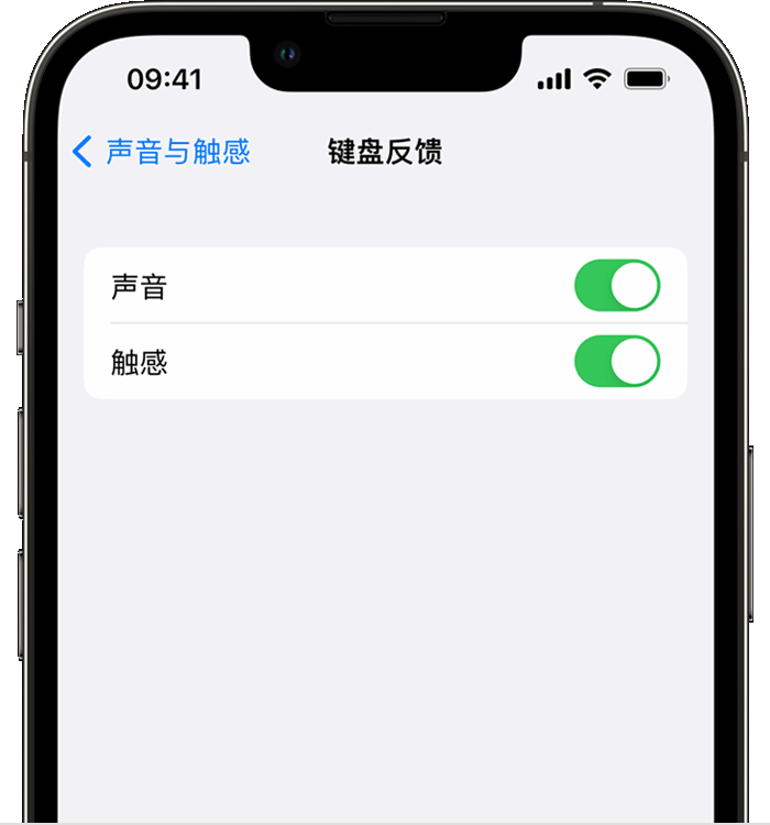 宁蒗苹果14维修店分享如何在 iPhone 14 机型中使用触感键盘 