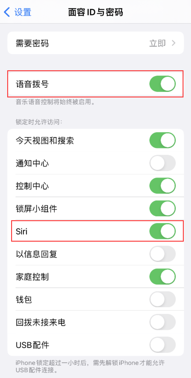 宁蒗苹果维修网点分享不解锁 iPhone 的情况下通过 Siri 拨打电话的方法 