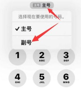 宁蒗苹果14维修店分享iPhone 14 Pro Max使用副卡打电话的方法 