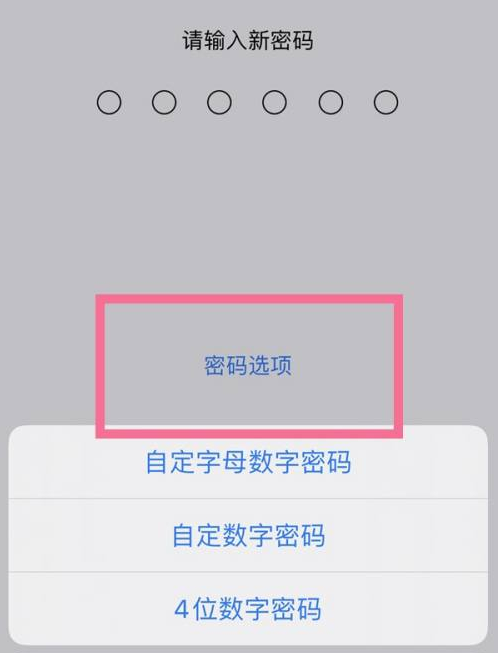 宁蒗苹果14维修分享iPhone 14plus设置密码的方法 