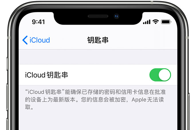 宁蒗苹果手机维修分享在 iPhone 上开启 iCloud 钥匙串之后会储存哪些信息 