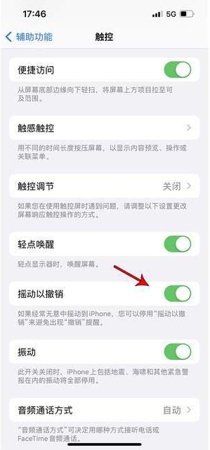 宁蒗苹果手机维修分享iPhone手机如何设置摇一摇删除文字 