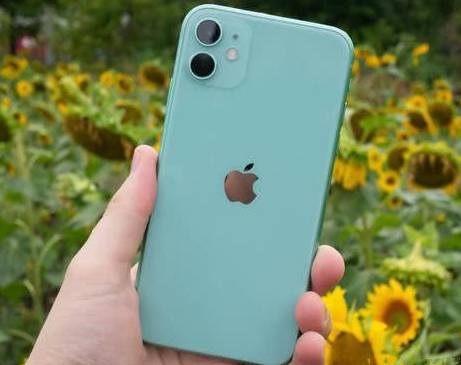 宁蒗苹果维修点分享iPhone 11锁屏密码认知与使用科普 