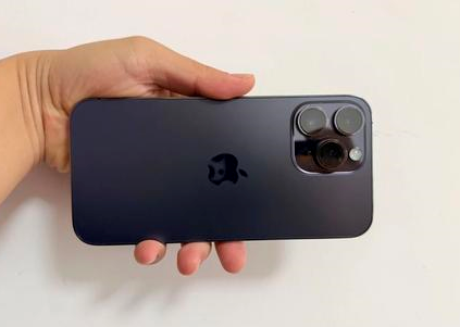 宁蒗苹果维修点分享iPhone 14 Pro Max黑屏少见故障盘点 